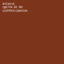 #7C341A - Copper Canyon Color Image